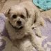 Ellen Crawley - Facebook
