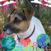 Ellen Krakau - Facebook