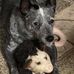 Ellen Crowder - Facebook
