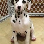 Ellen Crowley Coleman - @ecrowley24 - Instagram