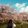 Ellen Cunningham - @ellencunningham08 - TikTok