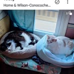 Ellen Cunningham - Facebook