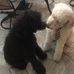Ellen Daigle - Facebook