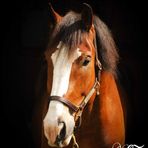 Ellen Dana - Facebook
