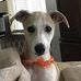 Ellen Maria DeCicco - Facebook