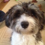 Ellen Denning - @edenning1 - Instagram