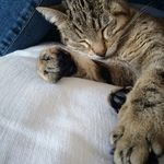 Ellen Denning - @edenning26 - Instagram