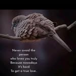 Ellen Dickson - @ellendickson472 - Instagram