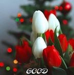 Allan Ditta - Facebook