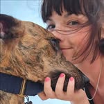 Ellen, Cassidy & Digby | Dogs | Outdoors | Lifestyle - @thecornwalladventurehounds - Instagram