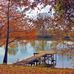 Sue Ellen Dillard - Facebook