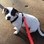Ellen Dillon - @ellendillon5683 - Instagram