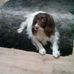 Ellen Docherty - Facebook