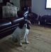 Ellen Docherty - Facebook