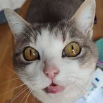 Ellen Dodds - @doddsellen - Instagram