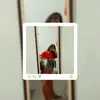ellendomingos33 - @_ellendomingos12 - TikTok