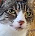Ellen Donato - Facebook
