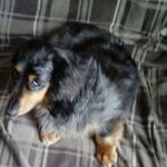 Ellen Donnelly - @ellen.donnelly.1238 - Instagram