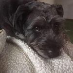 Ellen Doty - @eyyen2003 - Instagram