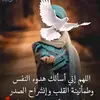مسره - @ellendoucette - TikTok