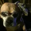 ella dougherty - @ella.doc57 - TikTok