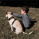 Ellen Abernathy Dougherty - @tutorellen - Instagram