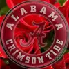 Ellen Dow Adkinson - @ellendowadkinson - TikTok
