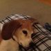 Ellen Dowling - Facebook
