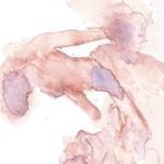 Ellen Dowling - @thelansingeccentric - Instagram