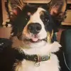 Ellie Downs - @luna51117 - TikTok