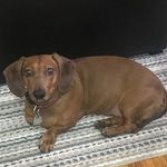 Ellen Drake - @edrake1373 - Instagram