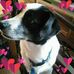 Ellen Drake - Facebook