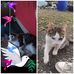 Alain Deswert - Facebook