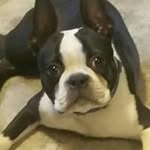 Ellen Dresselhuis - @ellendresselhuis - Instagram