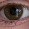 ellendriesens - @ellendriesens - TikTok