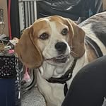 Ellen Drury Coghlan - @coghlanellen - Instagram