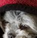 Ellen Duby - Facebook