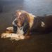 Ellen Duby - Facebook