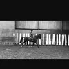 elleduckett - @elleduckett18 - TikTok