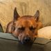 Ellen Duffield - Facebook