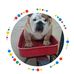 Ellen Dunaway - Facebook