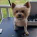 Ellen Dunaway - Facebook