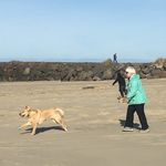 Ellen Dunbar - @dunbar555 - Instagram