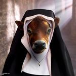 Maryellen Costello Dunbar - @maryellencostellodunbar - Instagram