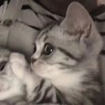 @ellendunlap322473 - Instagram