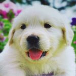 camille Dutton - @camille.ellen.dutton - Instagram