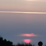Ellen Eckert - @elli21262 - Instagram