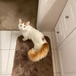 Ellen Edmonds - @eedmocats31 - Instagram
