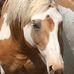 Ellen Sandquist Edmonds - Facebook