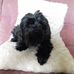 Ellena Edmonds - Facebook